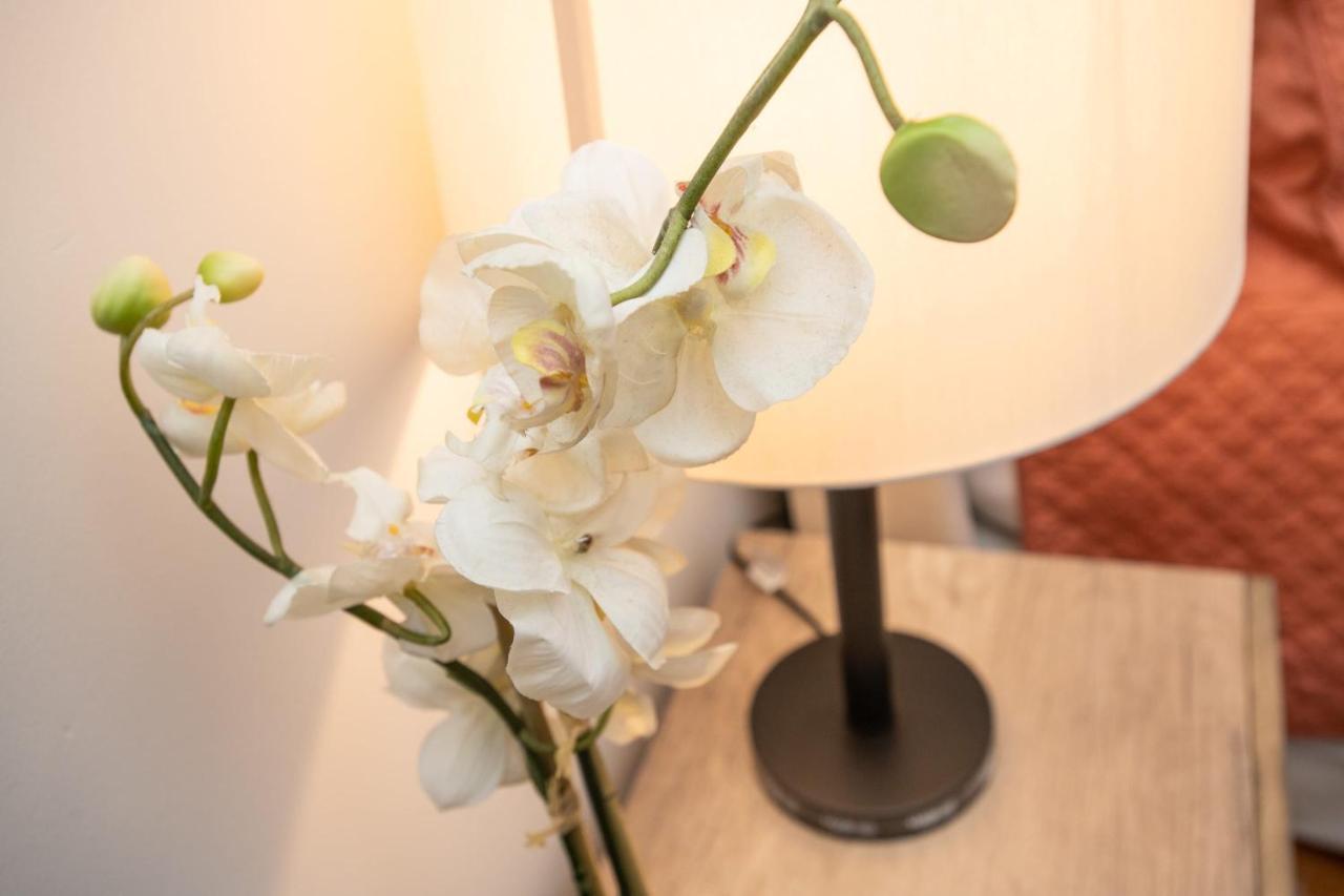 New French Quarter Delight 13 Apartment นิวออร์ลีนส์ ภายนอก รูปภาพ
